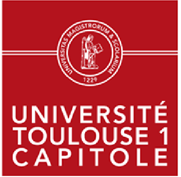 Univeriste toulouse capitole